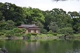 Tokyo Maison de Thé